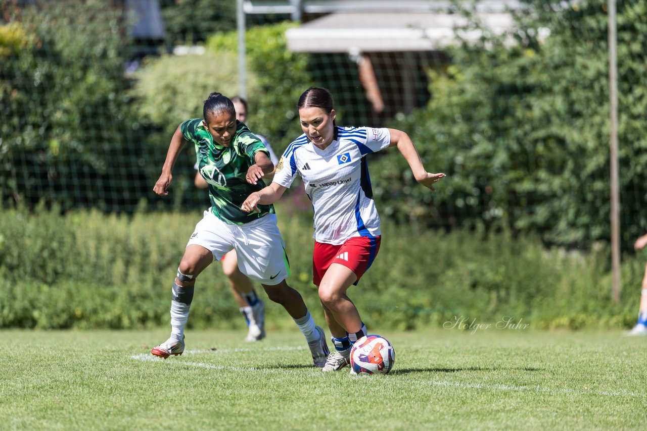Bild 442 - wBJ Hamburger SV - VfL Wolfsburg : Ergebnis: 5:1